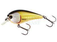 Wobler Westin BassBite Squarebill BassBite 1.5 | 6cm 13g - Official Roach