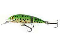 Hard Lure Wob-Art Piskorz DR 6cm 5g - 65