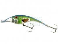 Wobler Zalt 14cm floating - Zalt14F104 Legend Shimmer