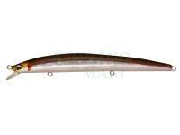 Hard Lure Megabass X-120 | 12cm 11.4g Slow Floating - HT Hakone Wakasagi