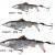 Savage Gear Lures 3D SmashTail Minnow