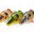 Savage Gear 4D Line Thru Perch