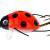 Wob-Art Lures Biedronka (Ladybird)