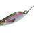 Jenzi Trout Spoon 3D