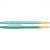Guideline Linki Coastal Evolve WF