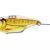 LiveTarget Cykady Sonic Shad Blade Bait