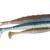 Dragon V-lures AGGRESSOR PRO