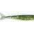 Delalande Drop Shad