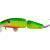 Salmo Fanatic