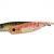 Fish Arrow Soft baits Flash-J SW