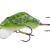 Dorado Hard lures Frog