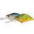 Dorado Huron