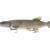 Savage Gear Przynęty 3D Line Thru Pike