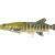 Savage Gear Przynęty 3D Line Thru Pike