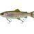 Savage Gear Przynęty 3D Line Thru Pulsetail Trout