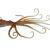 Savage Gear Sea Soft Baits 3D Octopus