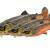 Savage Gear Przynęty 3D Trout Shad