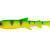 Savage Gear Przynęty 3D Whitefish Shad Bulk