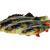 Savage Gear Przynęty 4D Perch Shad Bulk