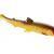 Westin Soft Baits BullTeez Shadtail TPF Bulk