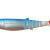 Savage Gear Przynęty Cannibal Shad 2013