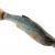 Savage Gear Craft Dying Minnow