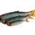 Savage Gear Craft Dying Minnow