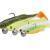 Savage Gear Zestawy gum Fat Minnow T-Tail RTF