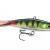 Rapala Lures Jigging Shadow Rap