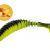 Quantum Soft Baits Magic Trout T-Worm Paddler