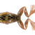 LiveTarget Freestyle Frog 2.0