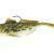 Westin Gunnar The Goby R2F