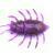FishUp Przynęty miękkie Maybug