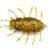 FishUp Przynęty miękkie Maybug