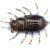 FishUp Przynęty miękkie Maybug