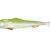 Qubi Lures Sardine Shad