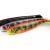 FOX Rage Soft baits Pro Shad Natural Classic Ultra UV Bulk