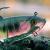 FOX Rage Soft baits Replicant Wobble