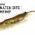 Magbite Snach Bite Shrimp soft baits