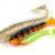 FOX Rage Spikey Shads Bulk