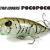 DUO Tetra Works PocoPoco F