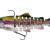 Westin Tommy the Trout Multi Jointed R2F