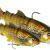 Westin Tommy the Trout Multi Jointed R2F