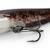 FOX Rage Przynęty Ultra Natural Catfish Replicant