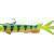 Prorex V-Marley Pelagic Shad