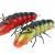 Microbait Woblery River Crayfish