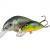 Dorado Hard lures Scout