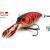 Molix Sculpo DR Rattlin Lures