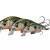 Savage Gear Lures 3D Sticklebait Twitch