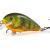 Salmo Hard lures Butcher